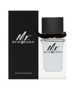 Mr. Burberry for Men EDT 100ml
