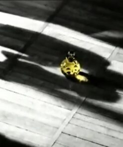 Christian Dior Dolce Vita EDT 100ml for Women