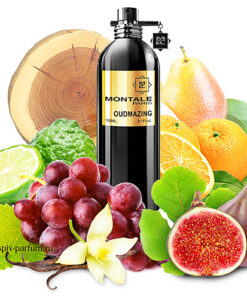 Montale Oudmazing EDP 2ml Vial Sample