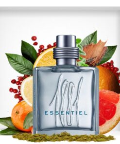 Cerruti 1881 Essentiel Men EDT 100ml - Image 4