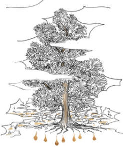 Alternative view of Atkinsons The Big Bad Cedar EDP 100ml