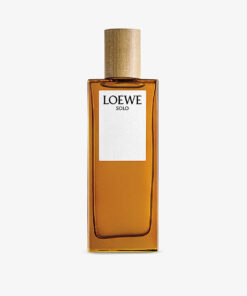 Loewe Solo Pour Homme edt 100ml