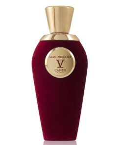V Canto Mandragola EDP 100ml