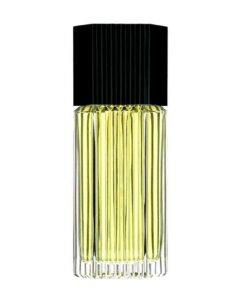 Estee Lauder Lauder for Men Cologne 100ml