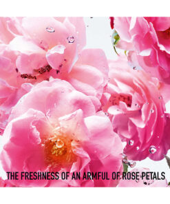 Dior Miss Dior Rose N' Roses EDT 100ml - Image 5