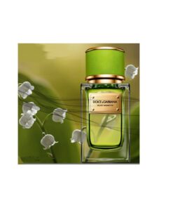 Dolce & Gabbana Velvet Mughetto 50ml EDP