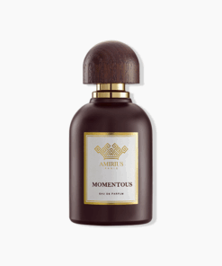 Amirius Momentous edp 75ml