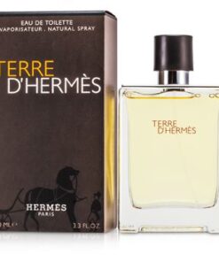 Hermes Terre D'Hermes EDT 100ml for Men