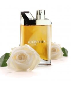 Accendis 0.1 for Unisex EDP 100ml