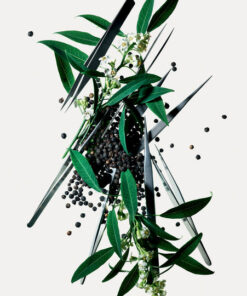 Alternative view of Givenchy Oiseau Rare edp 100ml