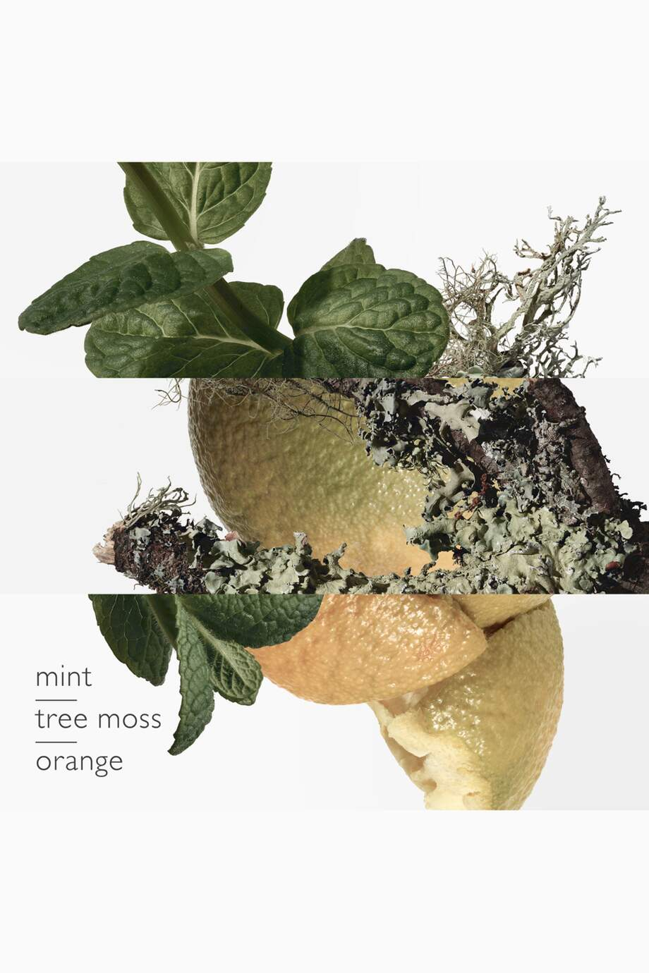 HERMÈS Eau d'Orange Verte Eau de Cologne 200ml - Image 2