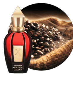 Alternative view of Xerjoff Golden Dallah Scent Molecule Concentrated Ultra Premium Perfume Oil