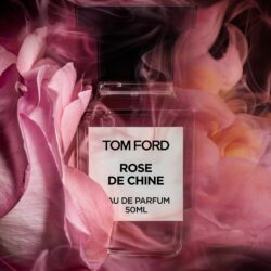 rose de chine