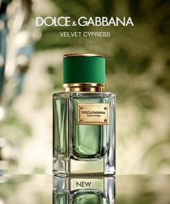 Alternative view of Dolce & Gabbana Velvet Cypress Scent Molecule Concentrated Ultra Premium Perfume Oil