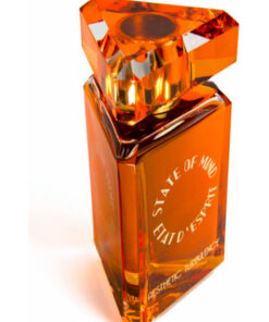 STATE OF MIND Aesthetic Turbulence edp 100ml