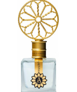 ANGELA CIAMPAGNA Scented Water 50ml