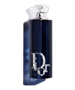 Christian Dior Addict EDP 100ml for Women