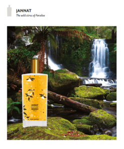 Alternative view of Memo Jannat Scent Molecule Concentrated TOP GRADE Premium Perfume Oil