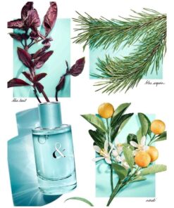 Alternative view of Tiffany & Co Love for Her Scent Molecule Concentrated TOP GRADE Premium Perfume Oil