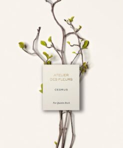 Chloé Atelier Des Fleurs Cedrus edp 50ml