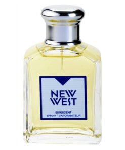Aramis New West Skinscent For Men 100ml