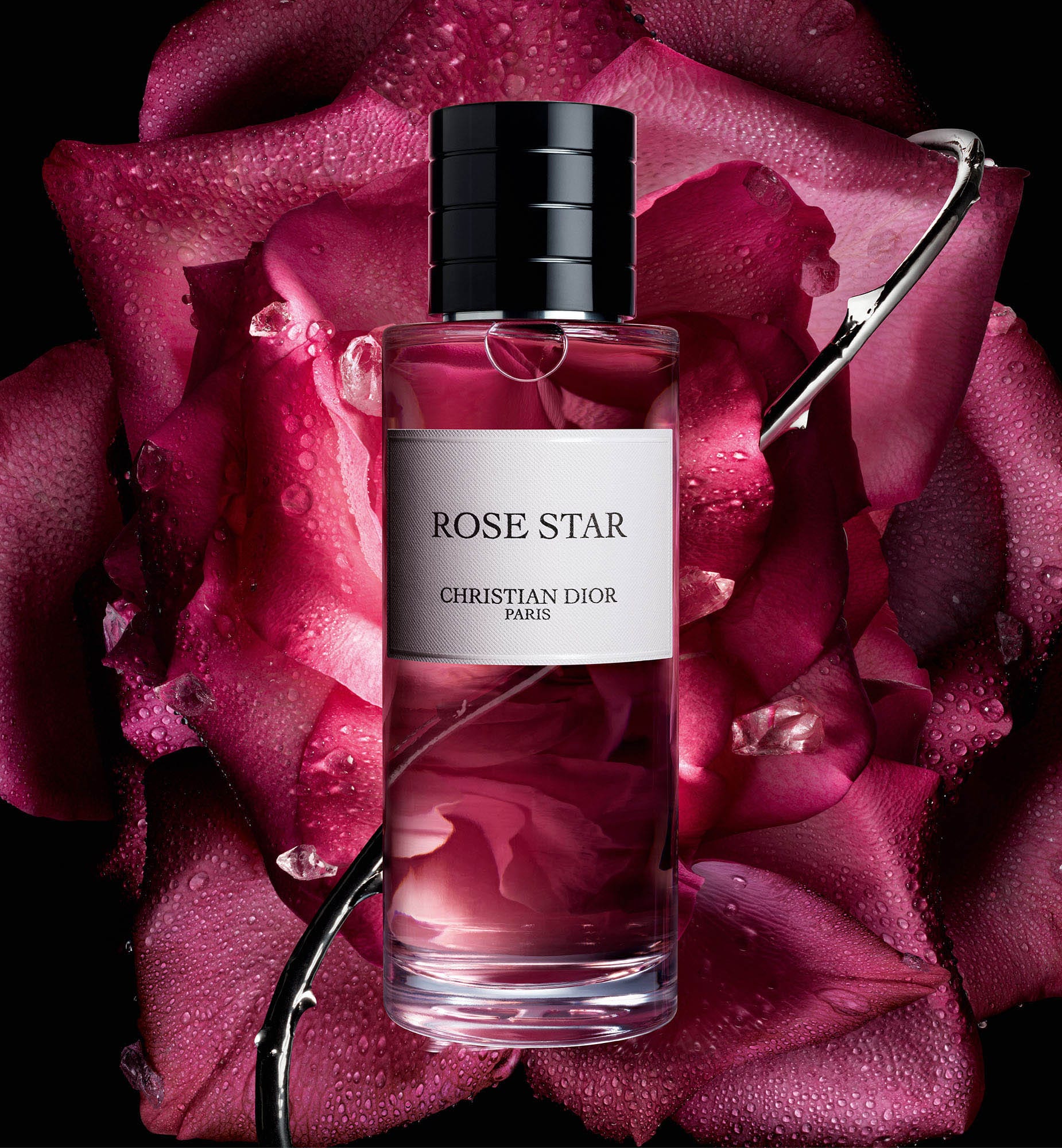 Dior Rose Star