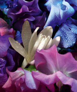 Alternative view of Guerlain Absolus Allegoria Florabloom edp 125ml