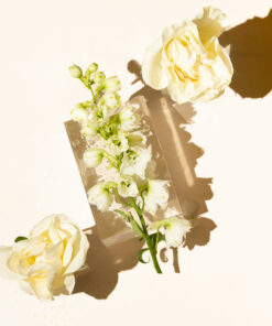 Alternative view of ALDEHYDIC Top Grade Pure Essential Oil by Scent Molecule
