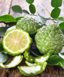 Bergamot Top Grade Pure Essential Oil by Scent Molecule - Image 3