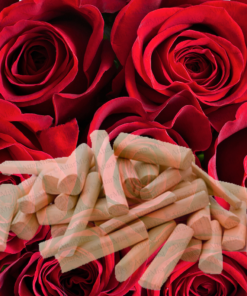 Alternative view of Sandal Rose Pure Essential Oil by Scent Molecule