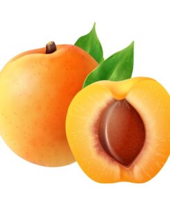Alternative view of Apricot Pure Essential Oil by Scent Molecule