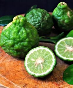 Alternative view of Bergamot Top Grade Pure Essential Oil by Scent Molecule
