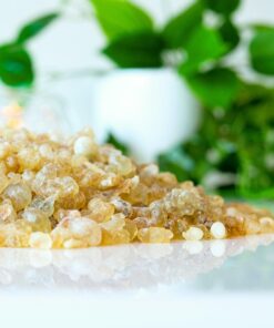 Alternative view of Frankincense Pure Essential Oil by Scent Molecule