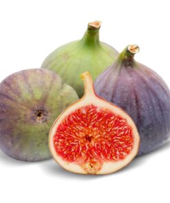 Alternative view of Fresh Fig Pure Essential Oil by Scent Molecule