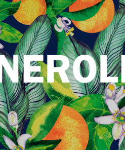 Alternative view of Neroli Pure Essential Oil by Scent Molecule