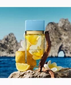Alternative view of Dolce & Gabbana Light Blue Women edp 100ml