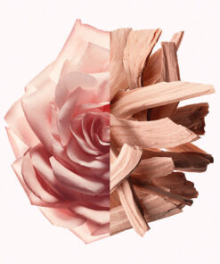 Givenchy Irresistible Nude Velvet edp 50ml - Image 3
