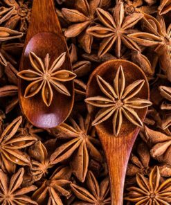 Alternative view of Star Anise Pure Essential Oil by Scent Molecule