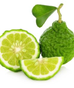 Alternative view of Bergamot Pure Essential Oil by Scent Molecule