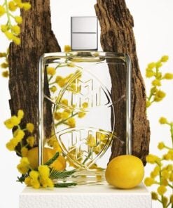 Alternative view of Mercedes Fascinating Oud Scent Molecule Concentrated TOP GRADE Premium Perfume Oil