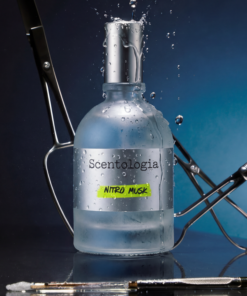 Alternative view of Scentologica Nitro Musk 100ml