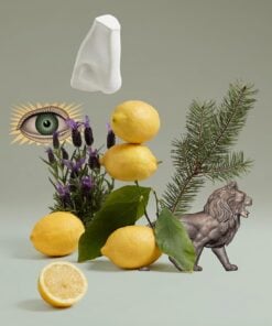 Alternative view of Penhaligon's Blenheim Bouquet edp 10ml Travel Spray Unboxed