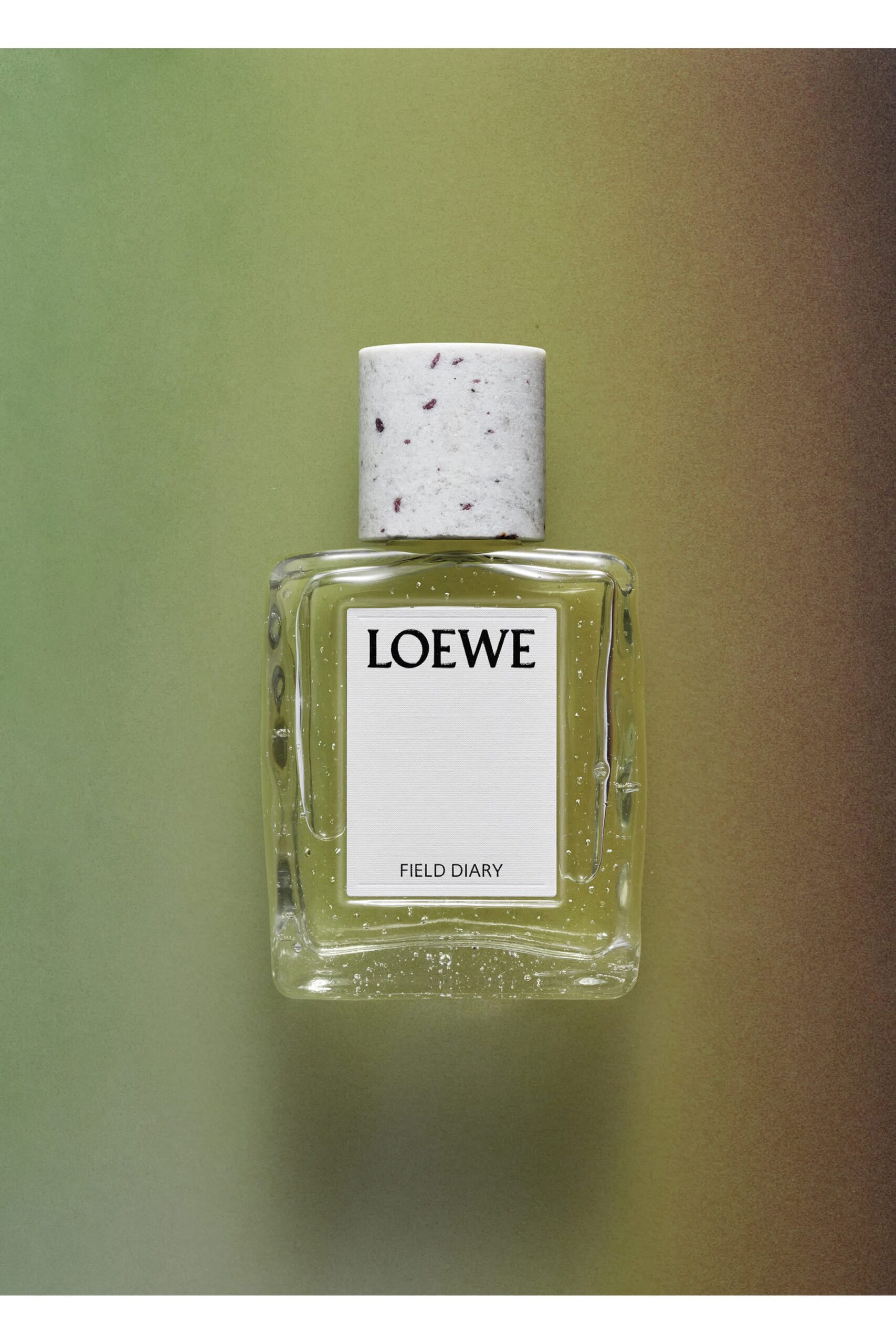 Loewe Field Diary eau de parfum 100ml - Image 2