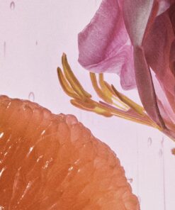 Loewe Rosetopia eau de parfum 100ml - Image 4