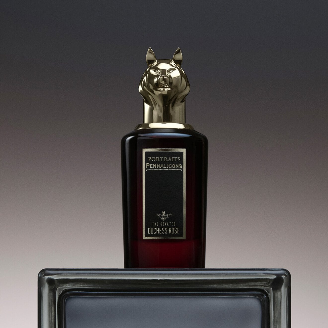 Penhaligon's The Coveted Duchess Rose Eau de Parfum Intense 75ml - Image 3