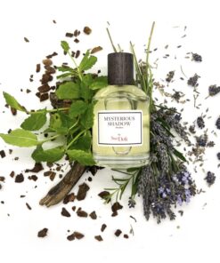 SweDoft Mysterious Shadow Men EDP 100ml
