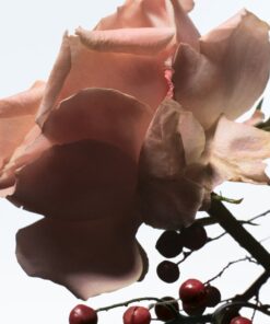 Alternative view of Dries Van Noten Raving Rose Eau de Parfum (200ml) - Refill